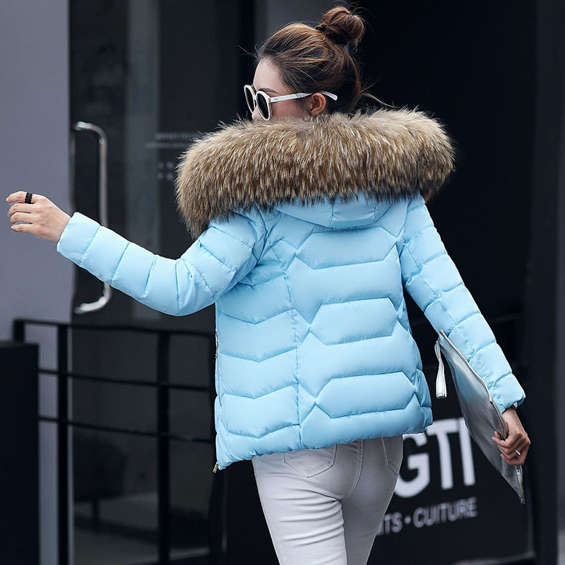 Winter Jacket Women's
