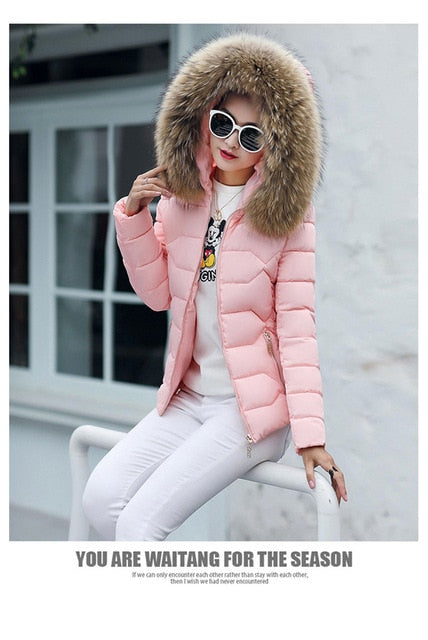 Winter Jacket Women's