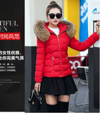 Winter Jacket Women's