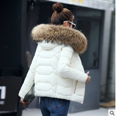 Winter Jacket Women's