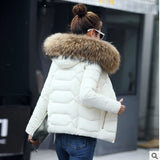Winter Jacket Women's