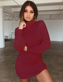 Turtleneck knitted dress fall winter