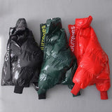 Winter Glossy Waterproof women's jacket